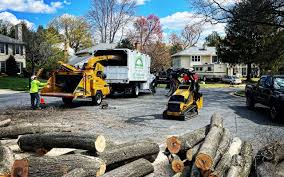 Leaf Removal in Waianae, HI